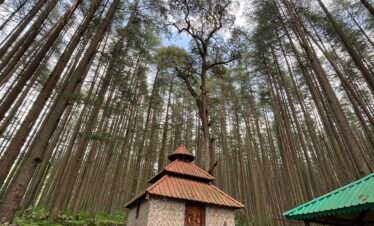 Koneshwar Mahadev Temple Devalsari Tour Package